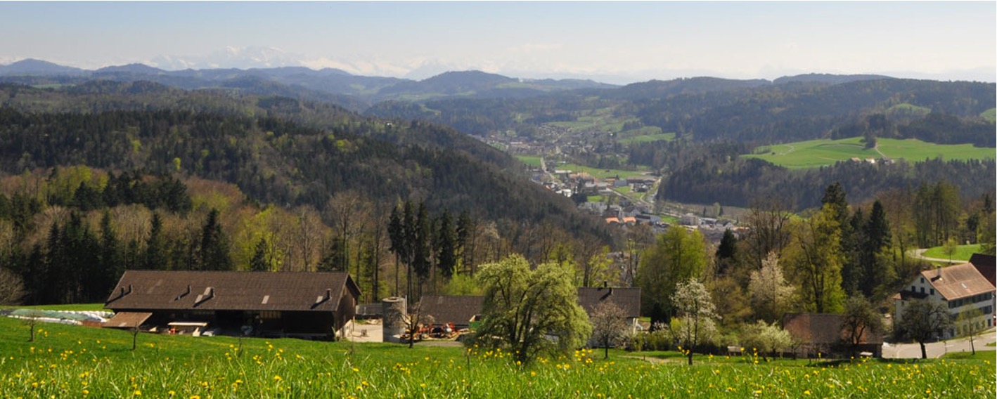 Fuster Rauchspezialitäten