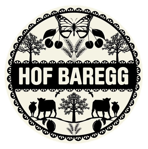 Hof Baregg Logo