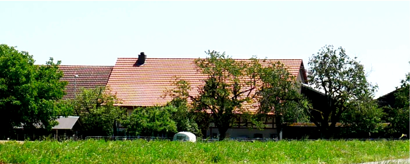 Hof Tiergarten